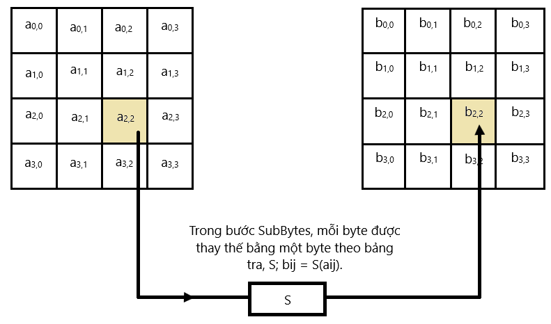 hình ảnh_2025-01-17_044259050.png