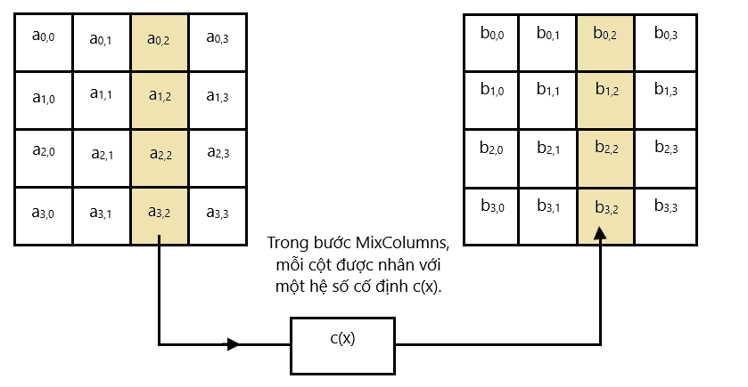 hình ảnh_2025-01-17_044919944.png