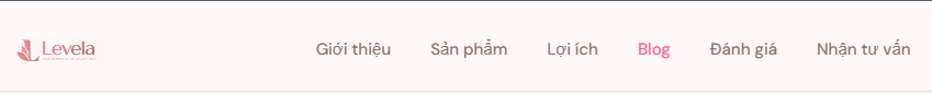 Menu Levela sau khi thêm mục Blog