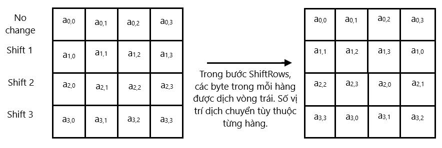 hình ảnh_2025-01-17_045618714.png