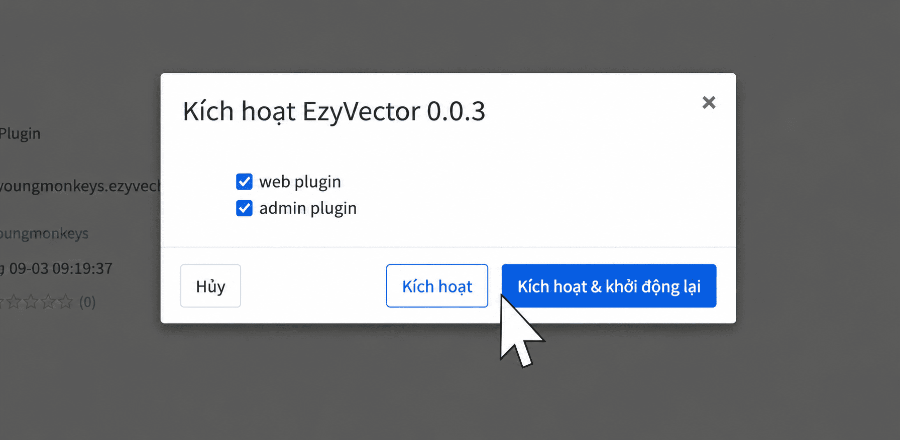 Kích hoạt plugin EzyVector