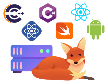 EzyFox_Sever (1).png