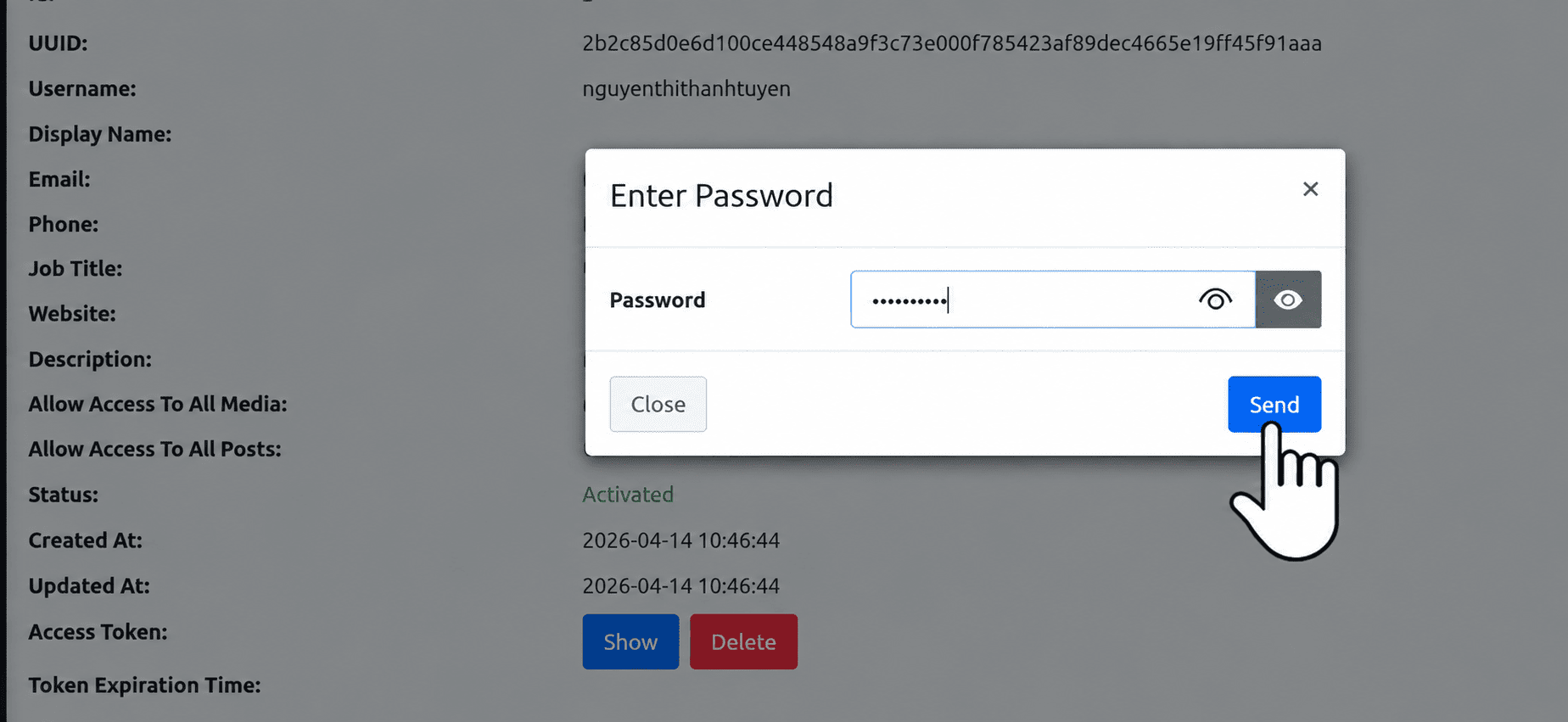 Xác thực thành công và Access Token hiện ra