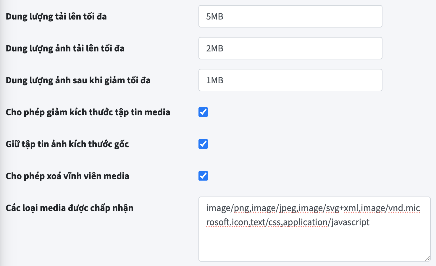 Cấu hình các loại media và dung lượng tối đa được phép tải lên trong trang settings/regular của EzyPlatform